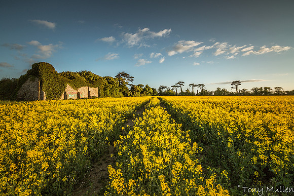 Filgates Gormanston