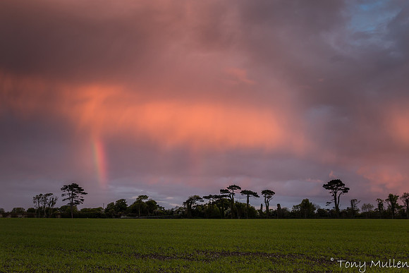 Gormanston Fields