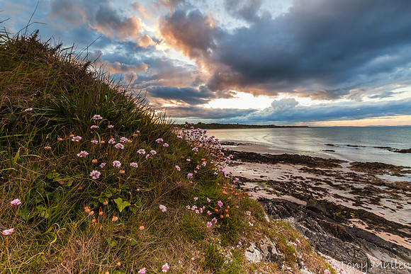 Gormanston Beach