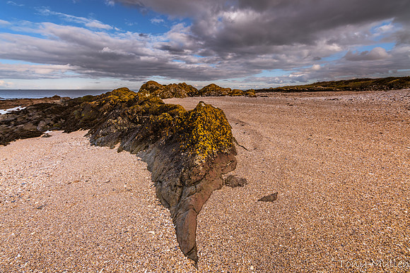 Filgates Gormanston