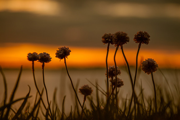 Gormanston Sunset