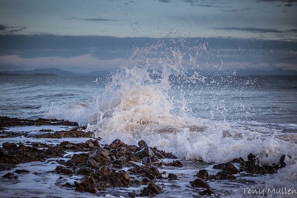 Dawn Waves