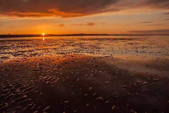 Sunset Tones