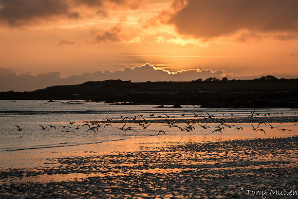 Gormanston Beach